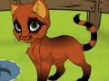 ਮੇਰੀ kitten 