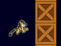 ਕਿਟੀ ਰਸ਼ 