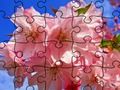 Jigsaw Puzzle: ਫੁੱਲ 