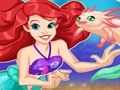 Mermaid ਪਾਲਤੂ ਜਾਨਵਰ ਦੀ ਦੁਕਾਨ 