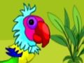Macaw ਜੋੜੇ ਨੂੰ ਬਚ 