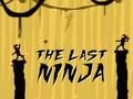 ਆਖਰੀ ਨਿਣਜਾਹ 
