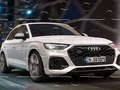 ਔਡੀ Q5 TDI ਬੁਝਾਰਤ 