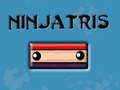 ਨਿੰਜਾਤ੍ਰੀ 