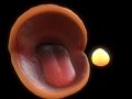 ਪੈਕ-ਮੈਨ 