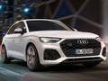ਔਡੀ SQ5 TDI ਸਲਾਈਡ 