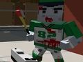 PGA6 Zombie Arena 3D ਸਰਵਾਈਵਲ 