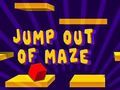 Maze ਦੇ ਬਾਹਰ ਛਾਲ 