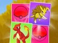 Poke World Find-Pares 