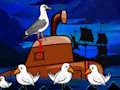 Laridae ਬਚਾਅ 