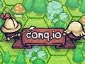 Conq. io 