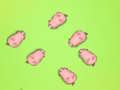 Piggies ਨੂੰ ਬਚਾਓ 