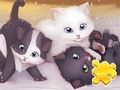 Jigsaw Puzzle: ਬਿੱਲੀਆਂ ਖੇਡਣਾ 