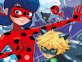 Ladybug ਅੰਤਰ ਲੱਭੋ 
