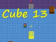 ਘਣ 13 
