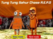 ਤੁੰਗ ਤੁੰਗ ਸਾਹੂਰ ਚੇਜ਼ ਆਰ. ਈ. ਪੀ. ਓ