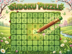 Sudoku Puzzle