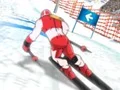 Winter Sports: Slalom Hero