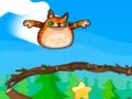 Angry Cat Shot