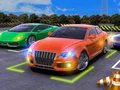 Driving Test Simulator
