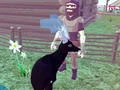 Deer Simulator 3D