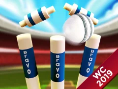 Mini Cricket: Ground Championship World Cup 2019