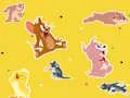 The Tom and Jerry Show Find it!