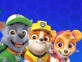 Paw Patrol