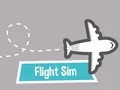 Flight Sim