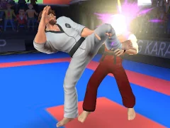 Karate Fighter