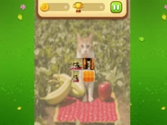 Farm Cat Memory Match