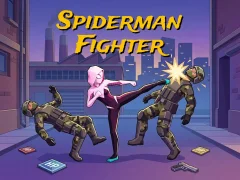 Spiderman Fighter