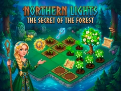 Northern Lights - The Secret Of The Forest