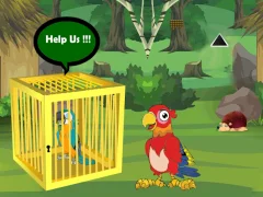 Release Trapped Macaw Buddy