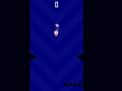 Rapid Run