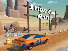 Stunt car Races