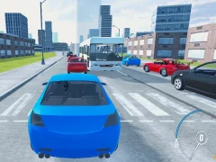 Car Destruction King