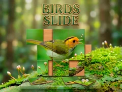 Birds Slide