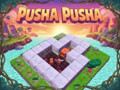 Pusha Pusha