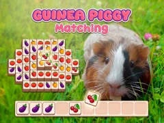 Guinea Piggy Matching