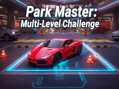 Park Master: Multi-Level Challenge