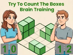 Try To Count The Boxes Brain Training