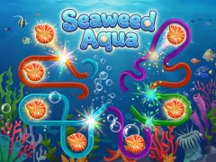 Seaweed Aqua