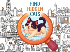 Find Hidden Cats