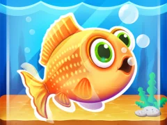 Fish tank my aquarium