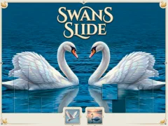 Swans Slide