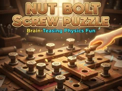 Nut Bolt Screw Puzzle