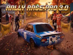 Rally Race Pro 3
