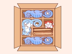 Cats Block Puzzle