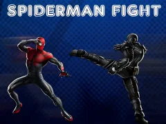 Spiderman Fight